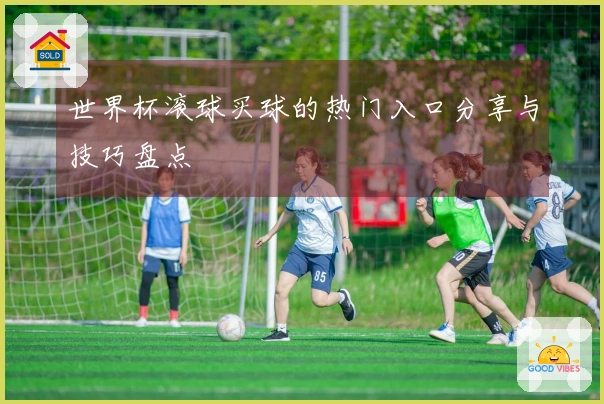 世界杯滚球买球的热门入口分享与技巧盘点