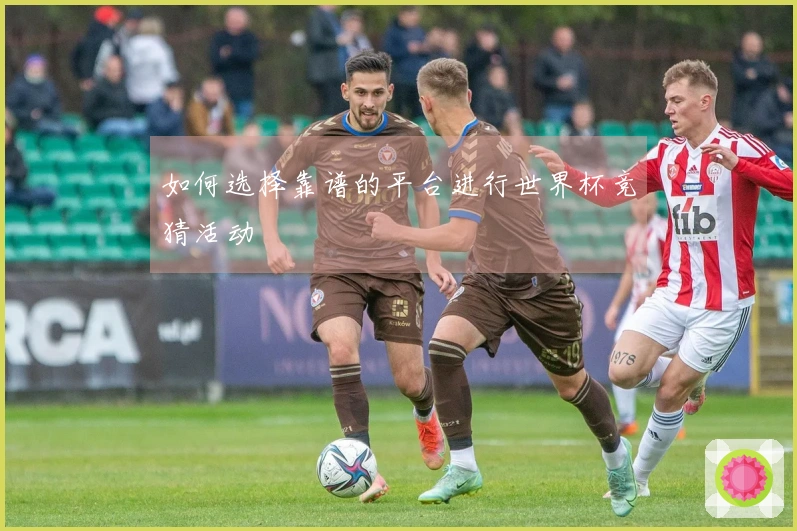 如何选择靠谱的平台进行世界杯竞猜活动