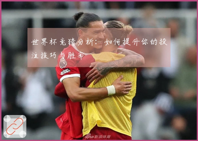 世界杯竞猜分析：如何提升你的投注技巧与胜率