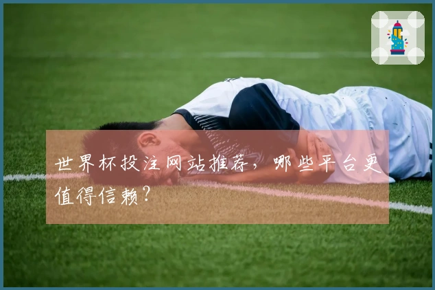 世界杯投注网站推荐，哪些平台更值得信赖？