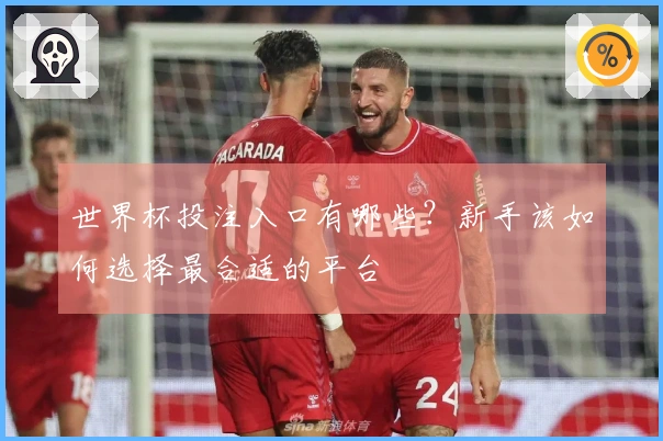 世界杯投注入口有哪些？新手该如何选择最合适的平台