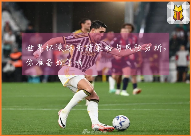 世界杯滚球竞猜策略与风险分析，你准备好了吗