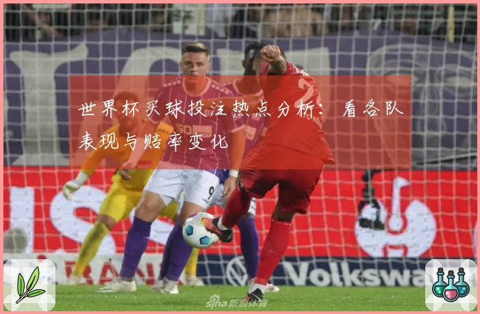 世界杯买球投注热点分析：看各队表现与赔率变化