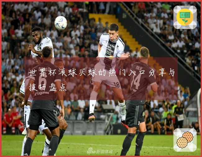 世界杯滚球买球的热门入口分享与技巧盘点