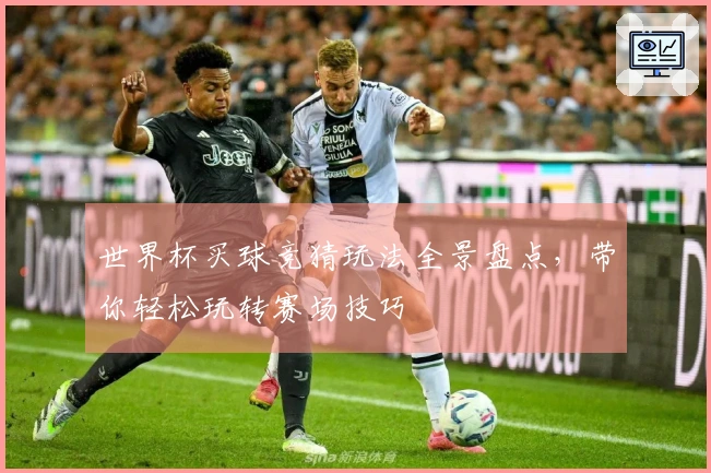 世界杯买球竞猜玩法全景盘点，带你轻松玩转赛场技巧