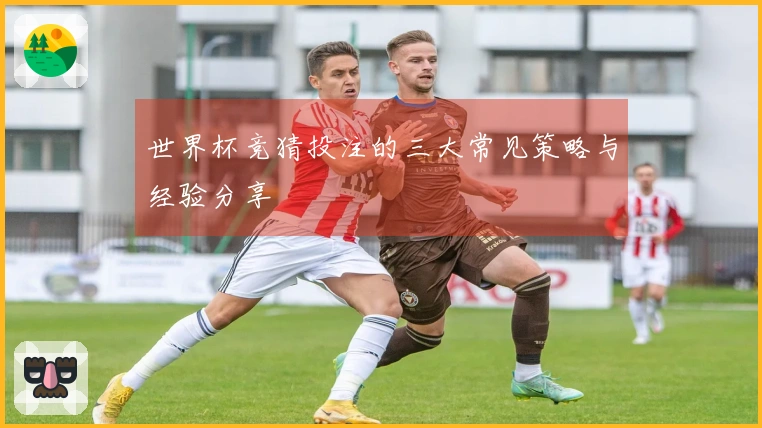 世界杯竞猜投注的三大常见策略与经验分享