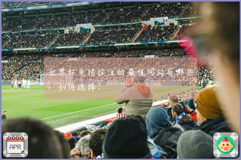 世界杯竞猜投注的最佳网站有哪些，如何选择？