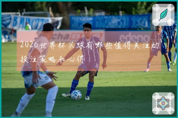 2026世界杯买球有哪些值得关注的投注策略和心得