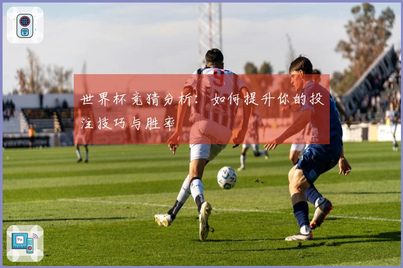 世界杯竞猜分析：如何提升你的投注技巧与胜率