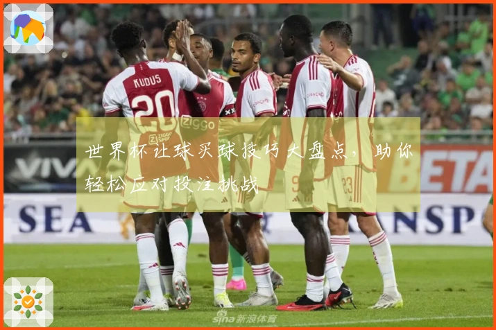 世界杯让球买球技巧大盘点，助你轻松应对投注挑战