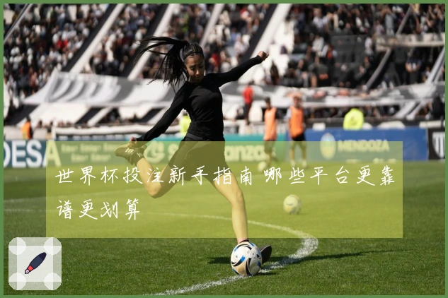 世界杯投注新手指南 哪些平台更靠谱更划算
