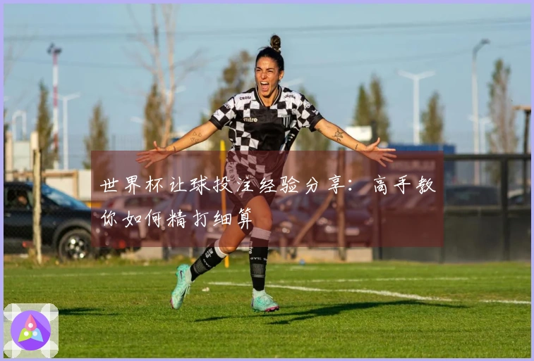 世界杯让球投注经验分享：高手教你如何精打细算
